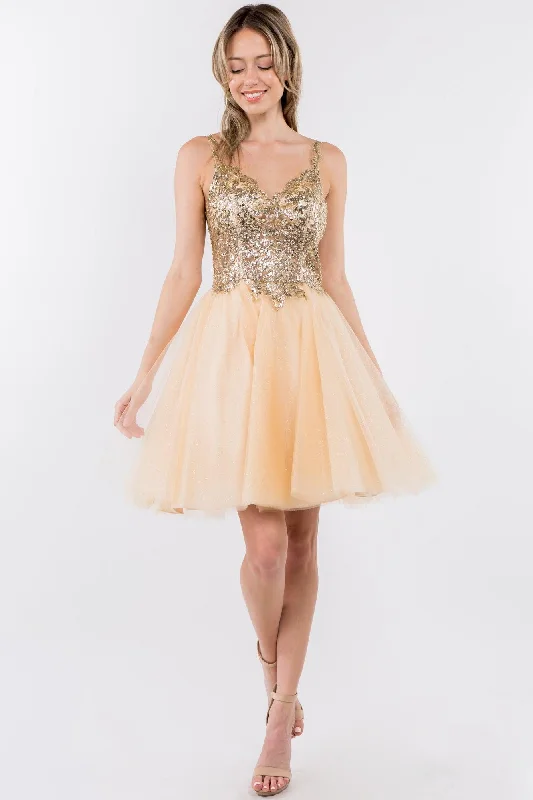 Sheer Bodice Short Homecoming Dress